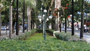 Canteiros centrais da Avenida Goiás estão sob ameaça: projeto do BRT pode destruir o paisagismo da via | Foto: Divulgação